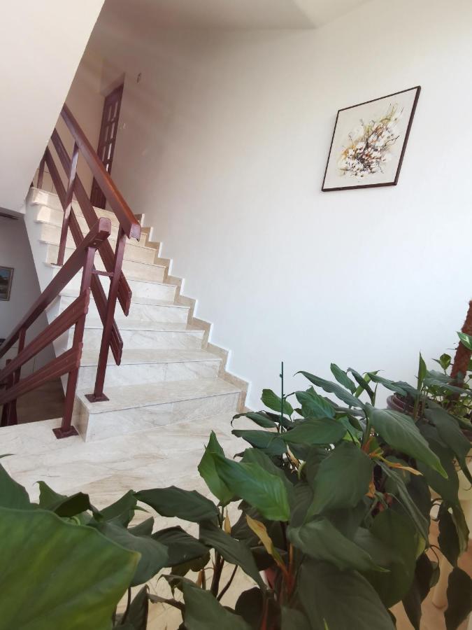 Apartment Kamen 诺维·维诺多尔斯基 外观 照片